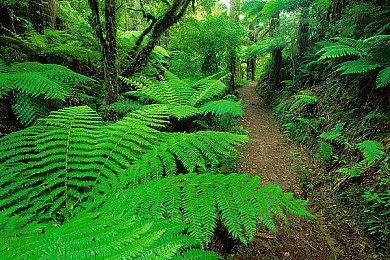 《伊藤润二狂热：无止的囹圄》预告 试玩版已上架